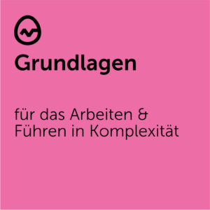 Grundlagen für das Arbeiten und Führen in Komplexität