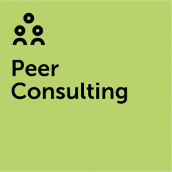 Peer Consulting